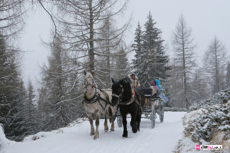 destination-wedding-photographer-Dolomites-valdifassa-italy-100