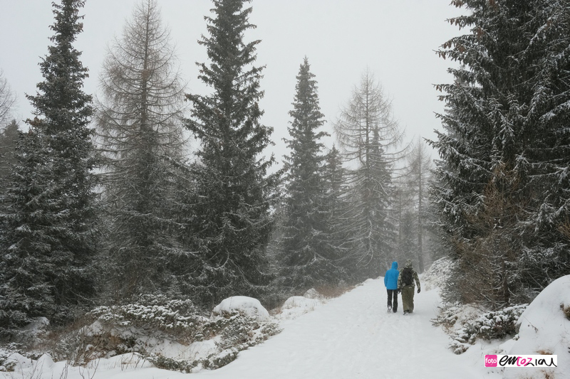 destination-wedding-photographer-Dolomites-valdifassa-italy-FUCIADE_4